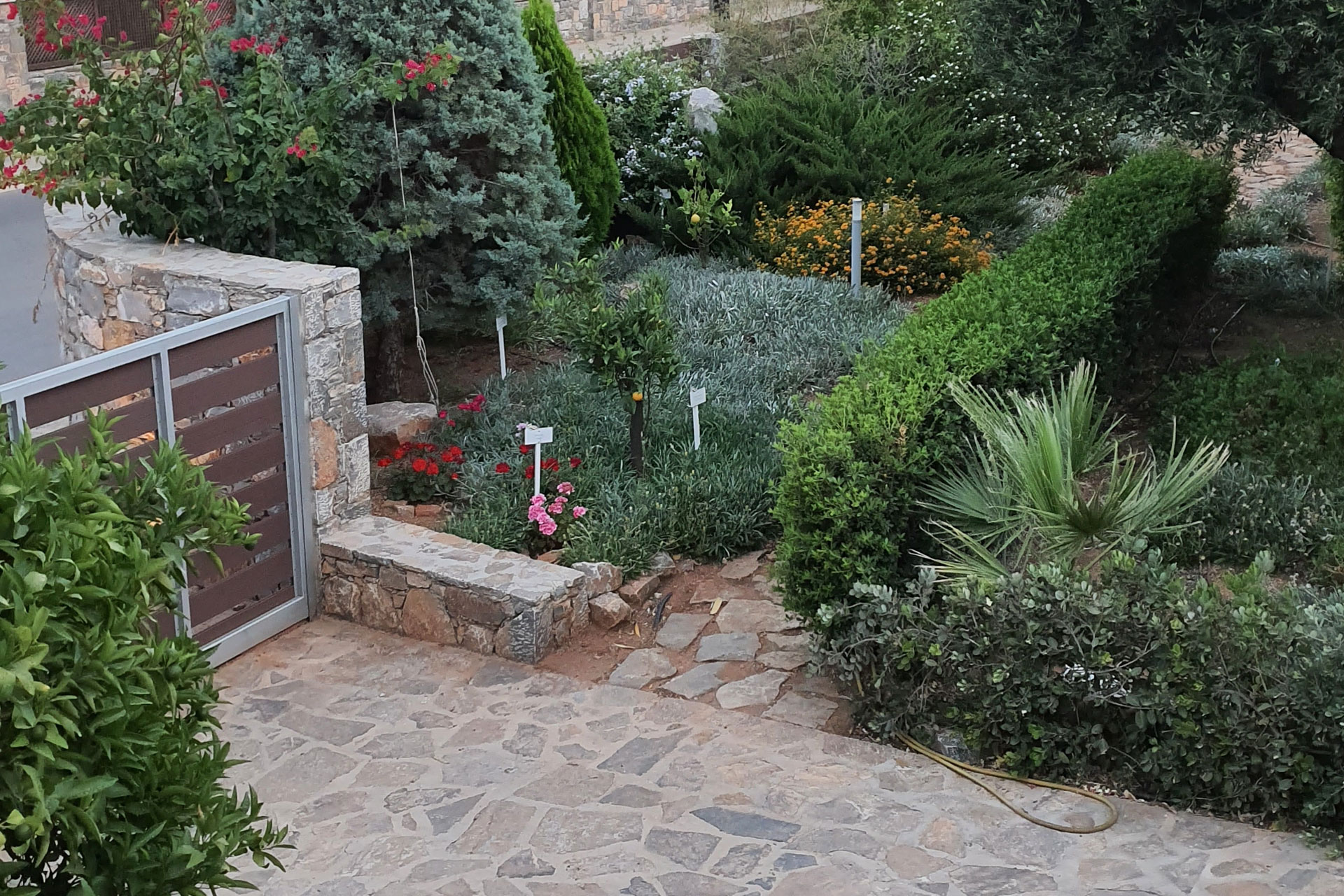 OUR GARDEN